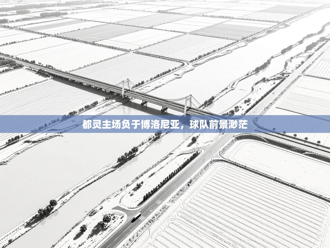 都灵主场负于博洛尼亚，球队前景渺茫  第1张