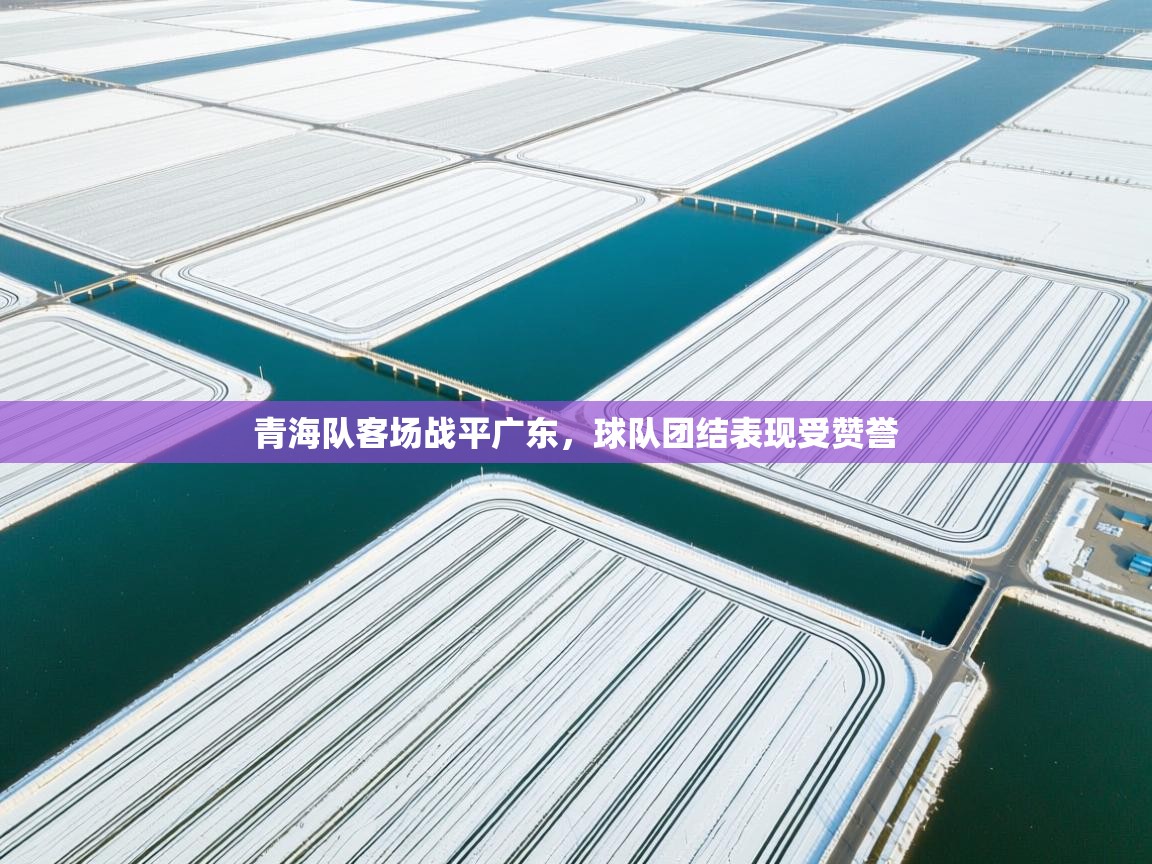 青海队客场战平广东,球队团结表现受赞誉 第1张