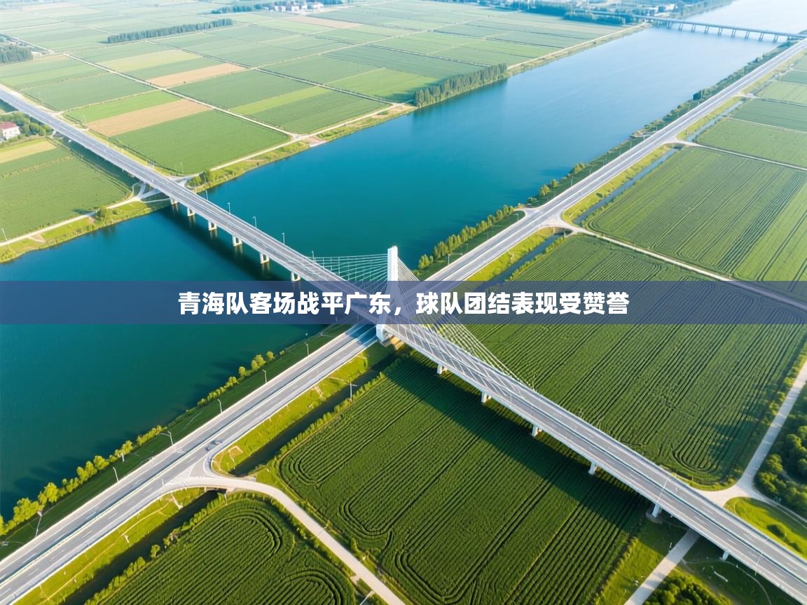 青海队客场战平广东,球队团结表现受赞誉 第2张