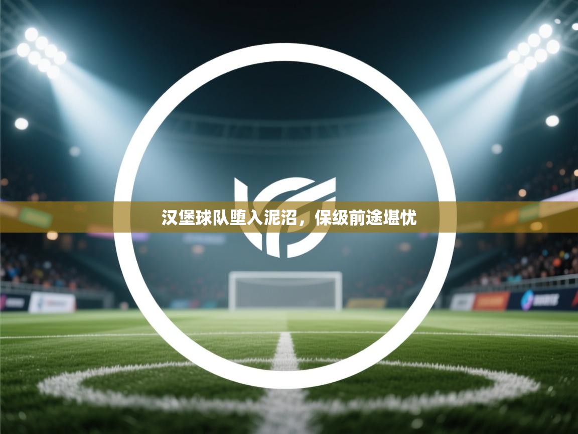 汉堡球队堕入泥沼,保级前途堪忧 第2张