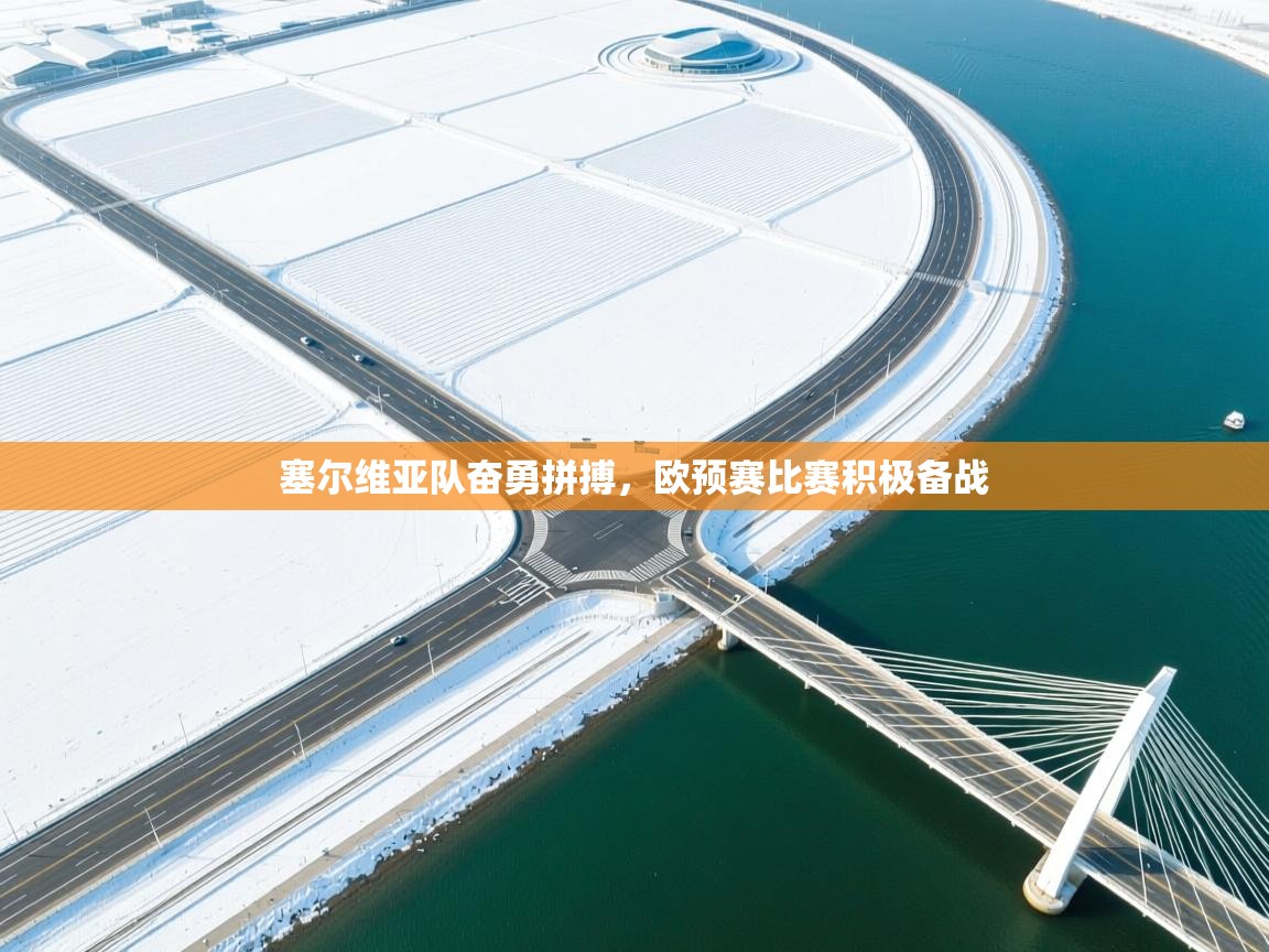 塞尔维亚队奋勇拼搏,欧预赛比赛积极备战 第2张