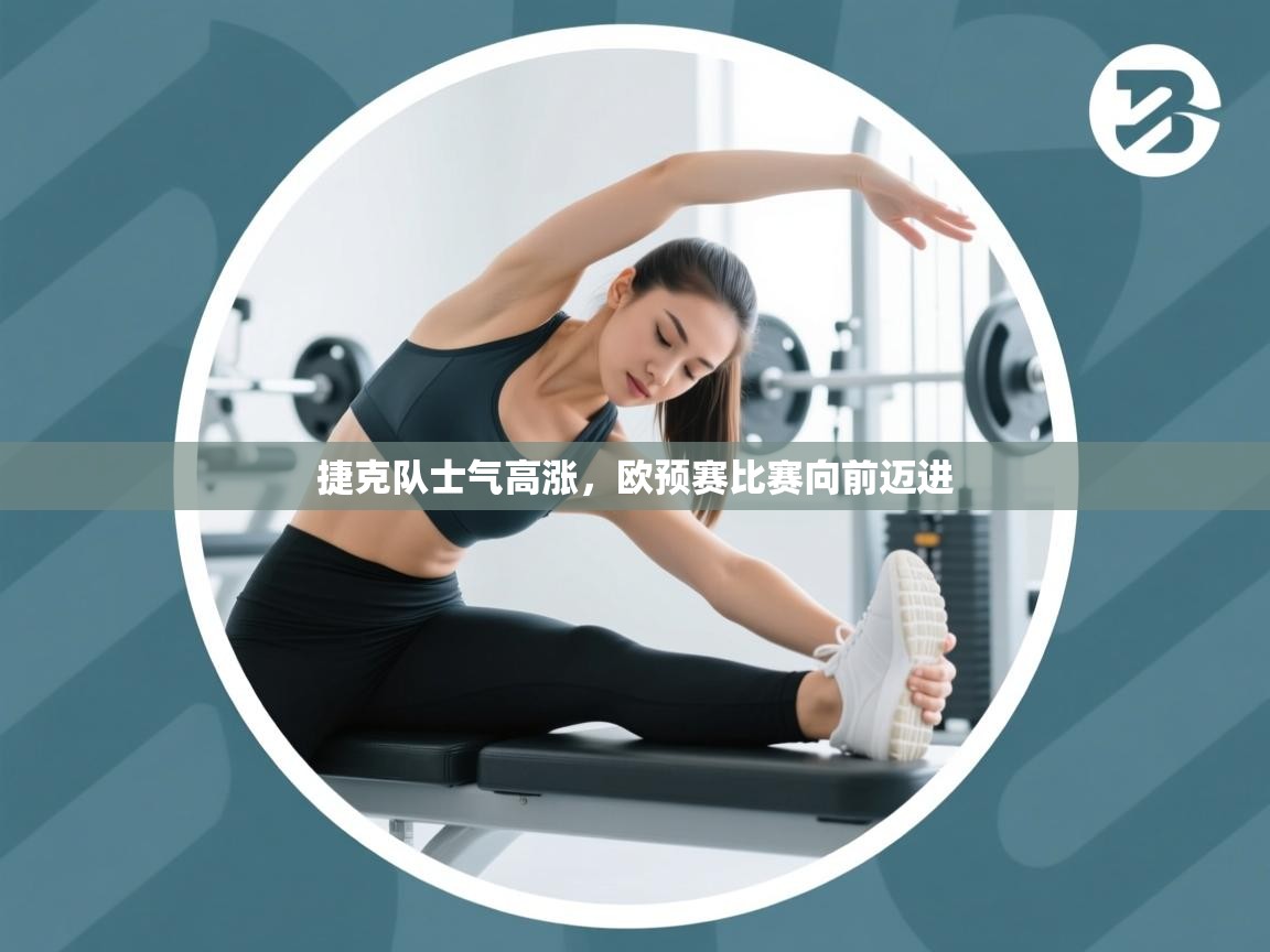 捷克队士气高涨，欧预赛比赛向前迈进  第2张