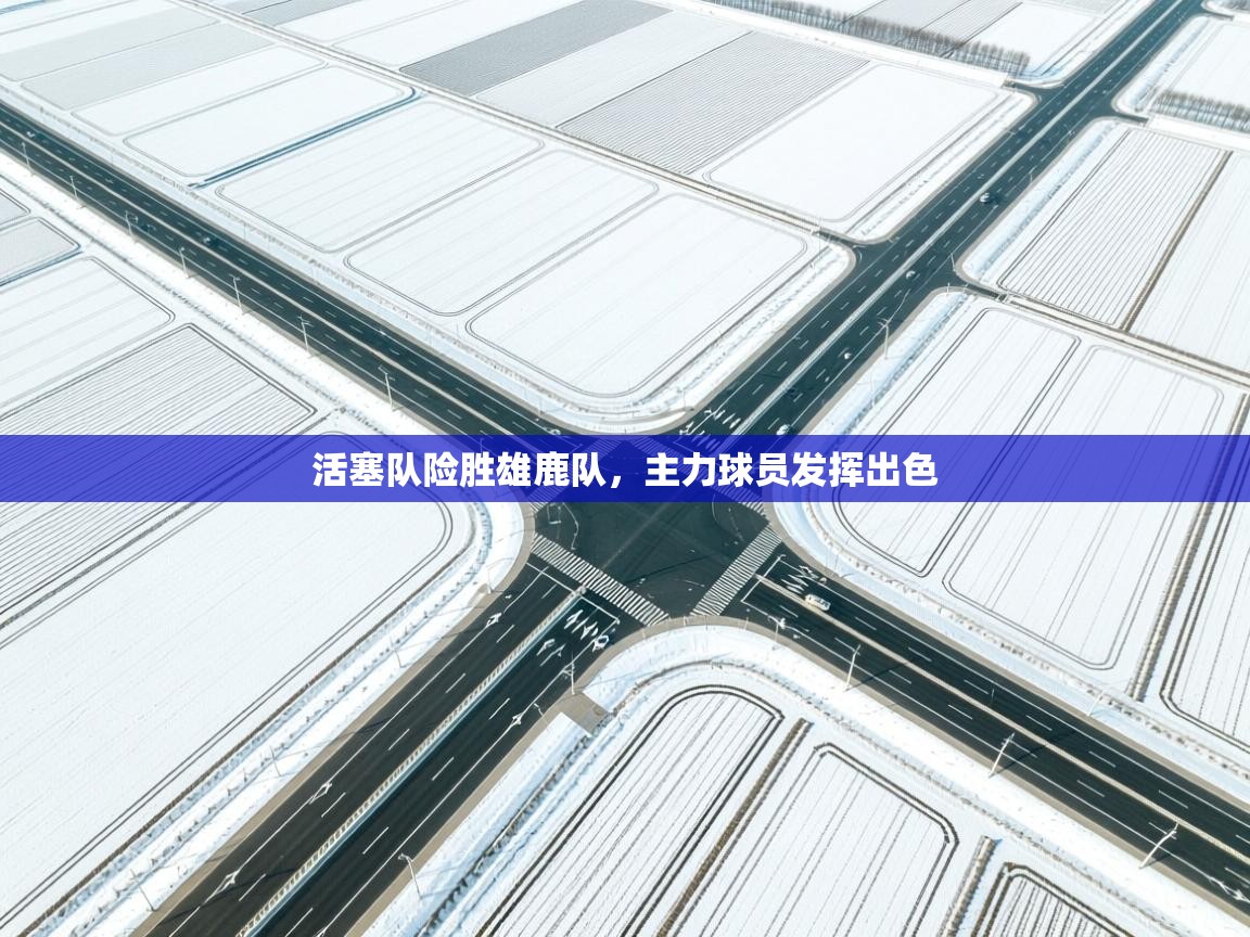 活塞队险胜雄鹿队，主力球员发挥出色  第1张