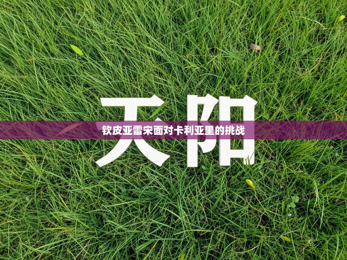 钦皮亚雷宋面对卡利亚里的挑战 第1张