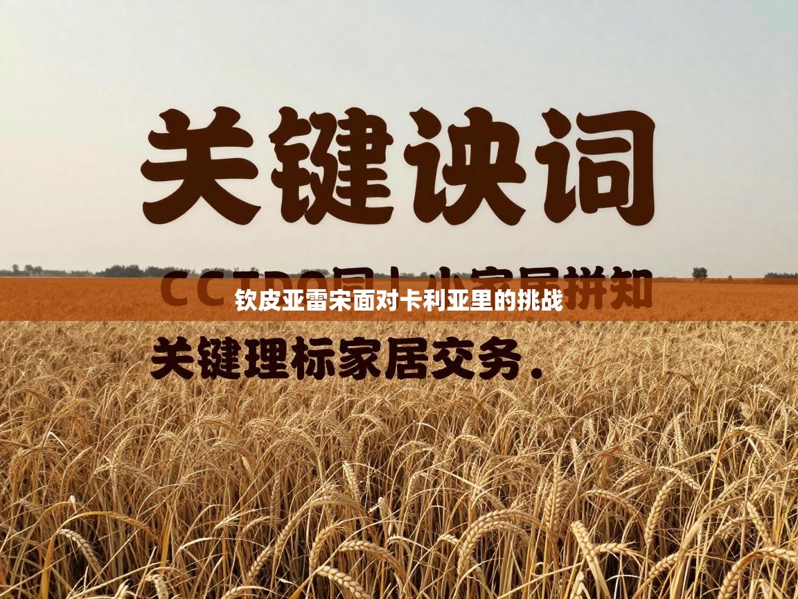 钦皮亚雷宋面对卡利亚里的挑战 第2张